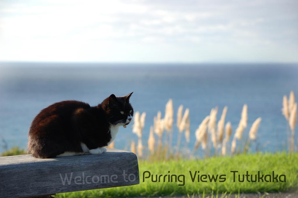 ホテル Ocean Purring Views トゥトゥカカ エクステリア 写真
